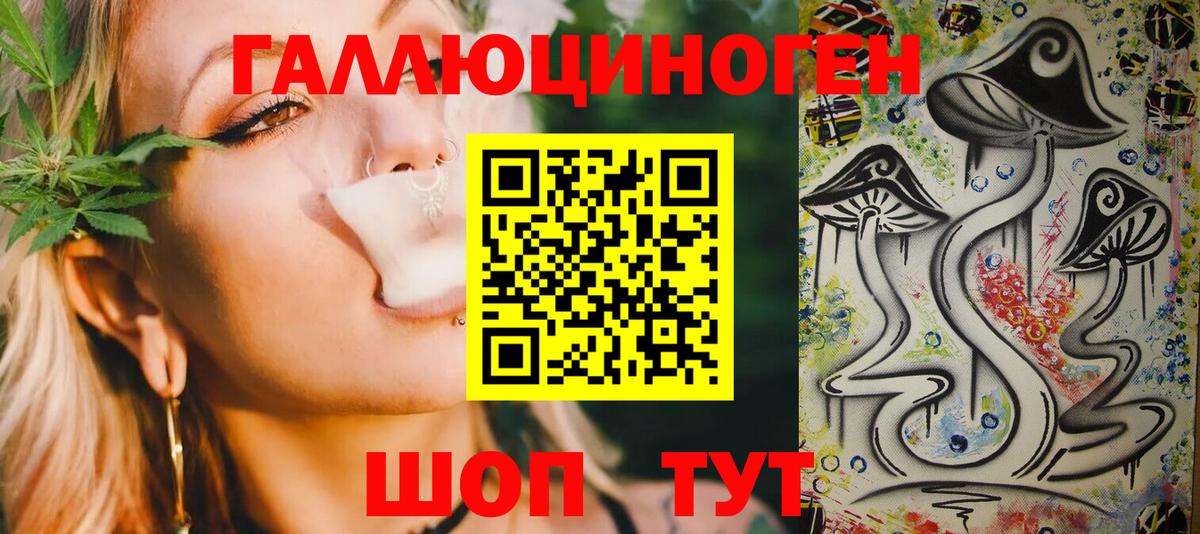 Губаха  Псилоцибиновые грибы Psilocybine cubensis  Вход с VPN 